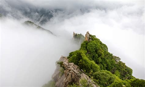 如何上小橫琴山：在探索自然美景的同时，我们不妨思考一下如何更好地保护这片净土？