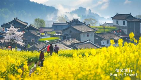 婺源看花是哪個景點——與江彣花的旅行故事